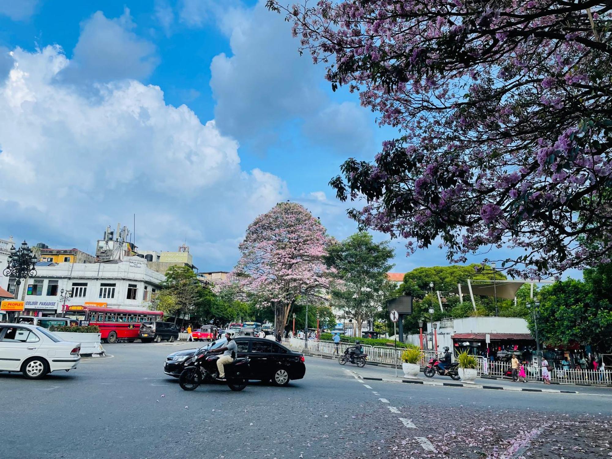 中国蒲公英民宿dandelion Guest House Villa With Mount View Kandy Exterior foto
